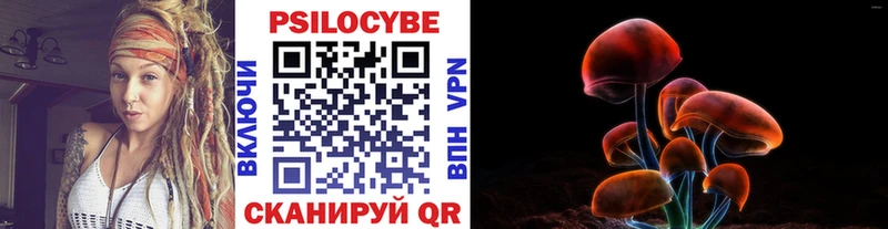 Галлюциногенные грибы Magic Shrooms  Чаплыгин 